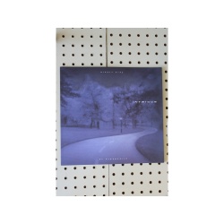 1999 Oldsmobile Intrigue Brochure