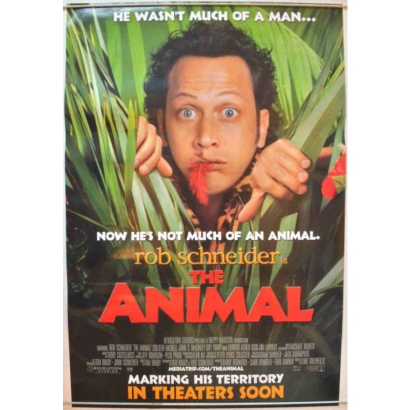 4473: DVD Curious George: Zoo Night And Other Animal Stories 