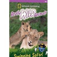 4631: DVD National Geographic Kids: Really Wild Animals: Swingi 