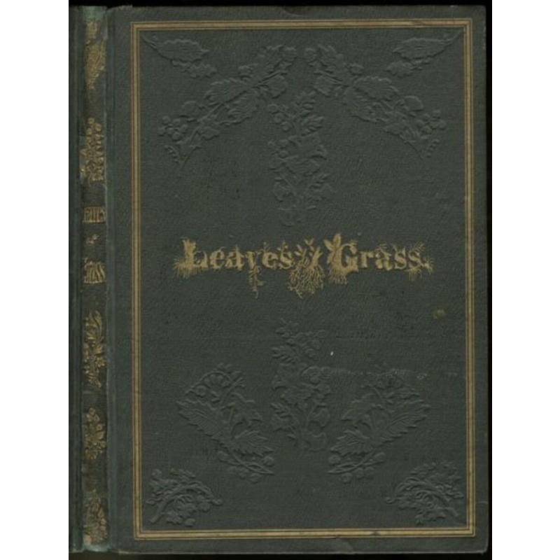 4860: DVD Leaves Of Grass 