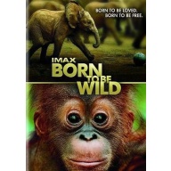 5355: DVD Born To Be Wild 