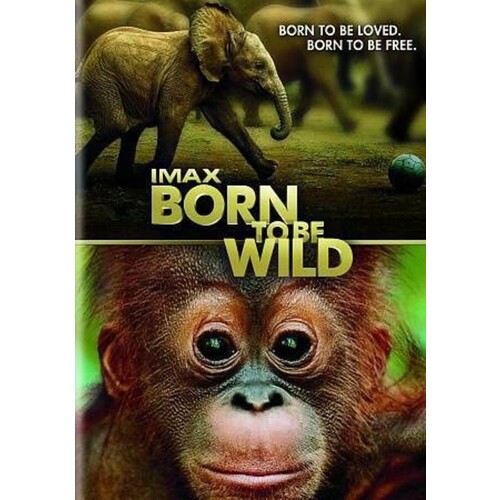 5355: DVD Born To Be Wild 