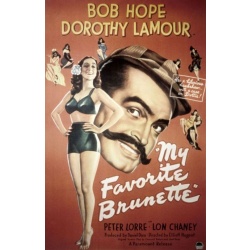 5363: DVD My Favorite Brunette 