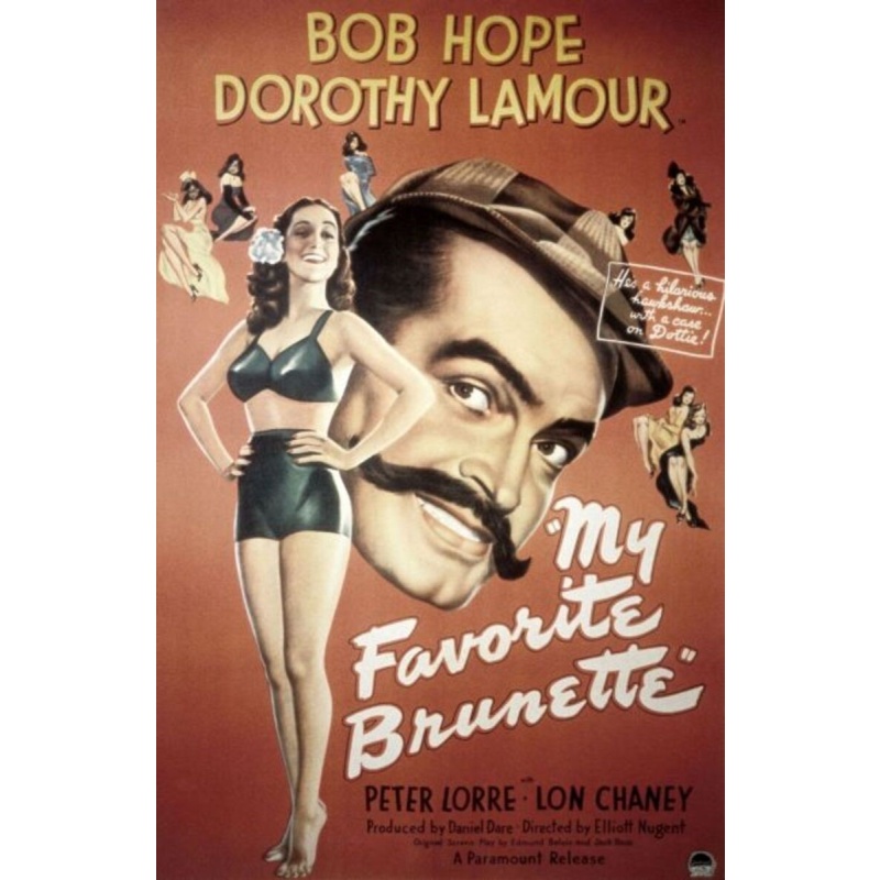 5363: DVD My Favorite Brunette 