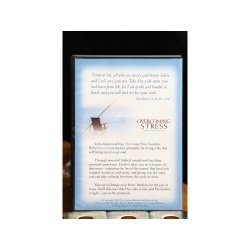 Overcoming Stress DVD:6533