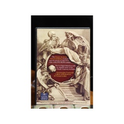 Dream Anatomy DVD:6544