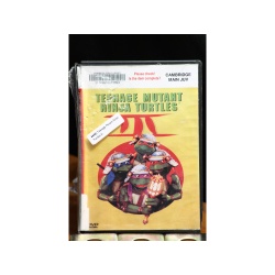 Teenage Mutant Ninja Turtles Iii DVD:6645