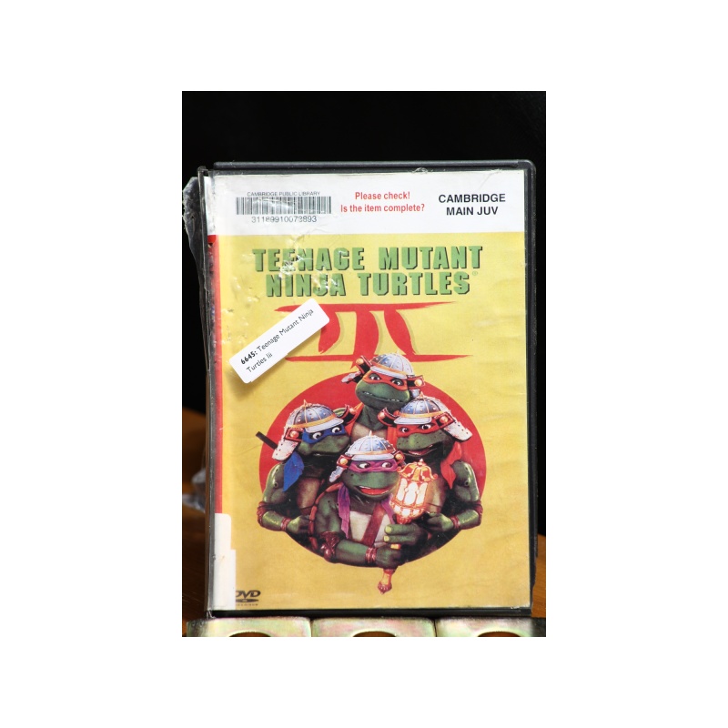 Teenage Mutant Ninja Turtles Iii DVD:6645