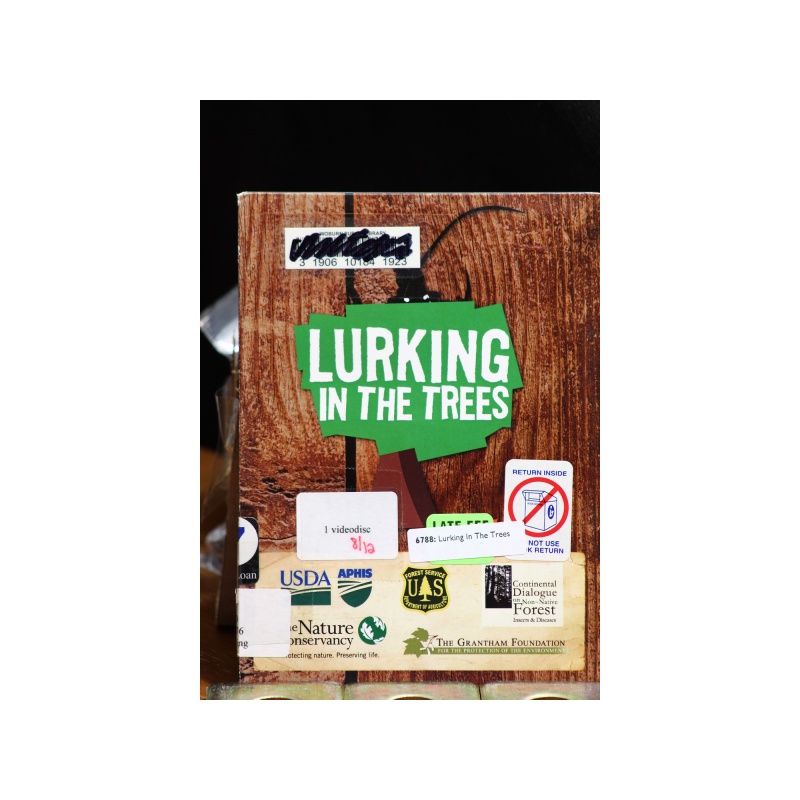 Lurking In The Trees DVD:6788