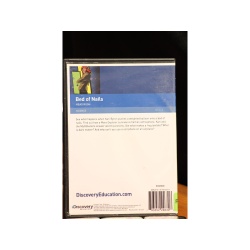 Bed Of Nails DVD:7083