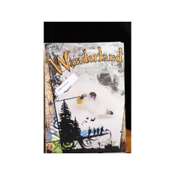 Wanderland east coast ski thriller by meathead films DVD:7144